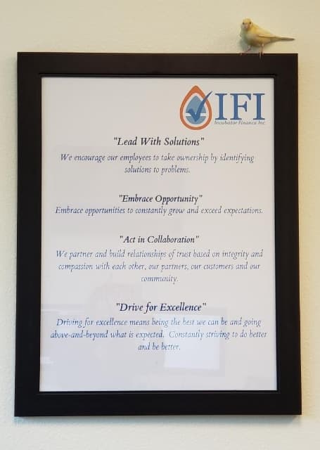 Our values spell LEAD — IFI Professionals